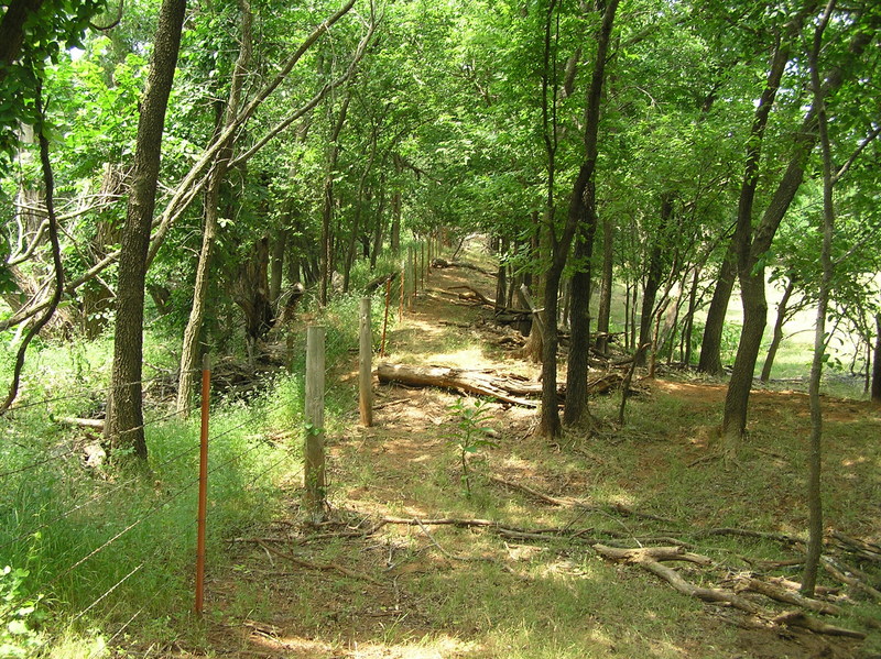 Site of the confluence of 35 North 98 West, looking west.  The confluence lies in the middle of the picture, just to the right (north) of the fence.