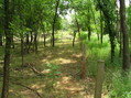 #3: View to the east from the confluence of 35 North 98 West.