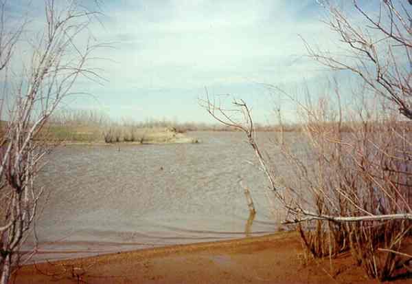 Looking north at the confluence from the south