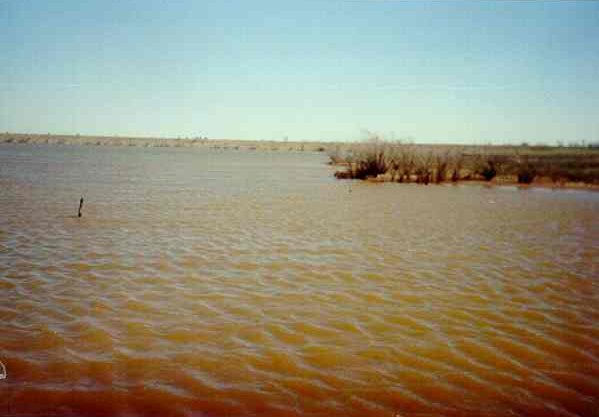 Looking from NW side at the smaller post closer to shore