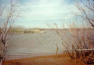 #1: Looking north at the confluence from the south