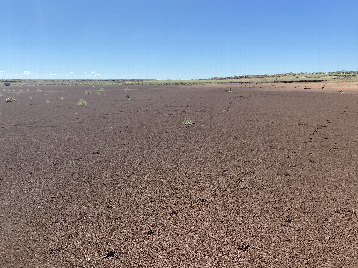 View to the south from the confluence. 