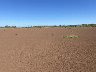 #2: View to the north from the confluence. 