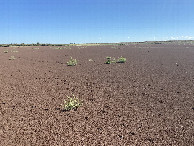 #3: View to the east from the confluence.  