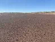 #4: View to the south from the confluence. 
