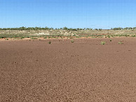 #5: View to the west from the confluence. 