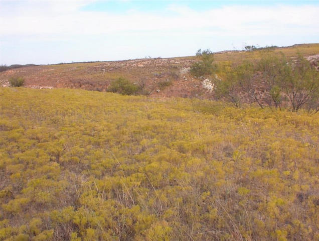 View of the confluence area from about 500 feet away