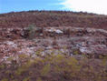 #5: Looking south from the confluence