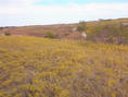 #7: View of the confluence area from about 500 feet away