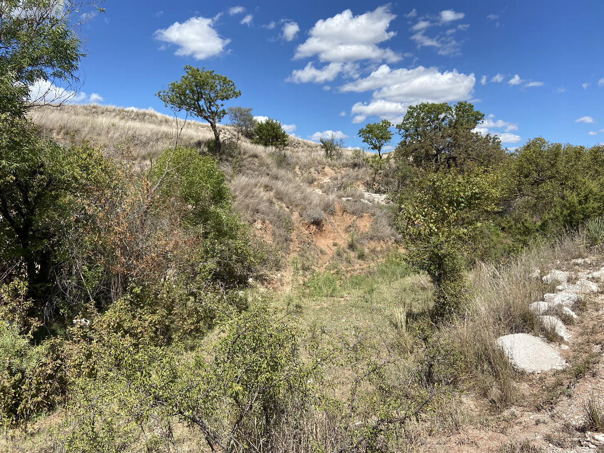 View to the north from the confluence. 