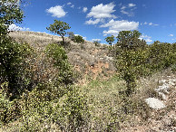 #2: View to the north from the confluence. 