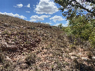 #4: View to the south from the confluence 