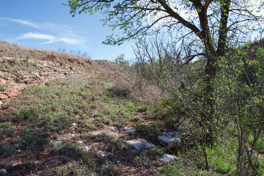 #1: The confluence point lies in a small ravine, next to a creek.  (This is also a view to the South, along the Oklahoma-Texas state line.)