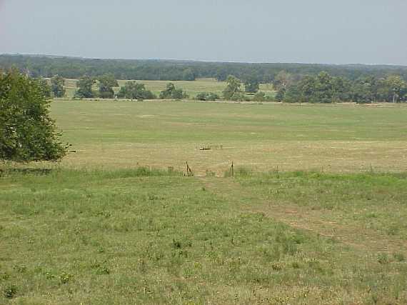 Confluence From 500 Meters South