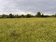 #2: View to the north from the confluence. 