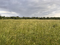 #4: View to the south from the confluence. 