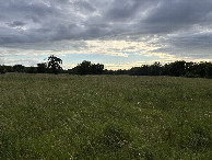 #5: View to the west from the confluence. 