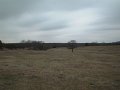 #3: The windswept Oklahoma landscape