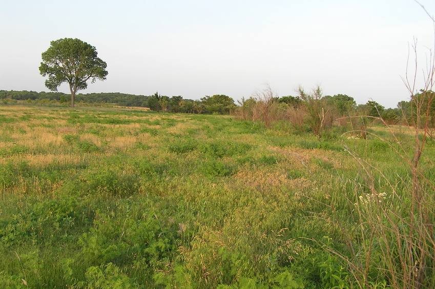 View to the east northeast from the confluence.