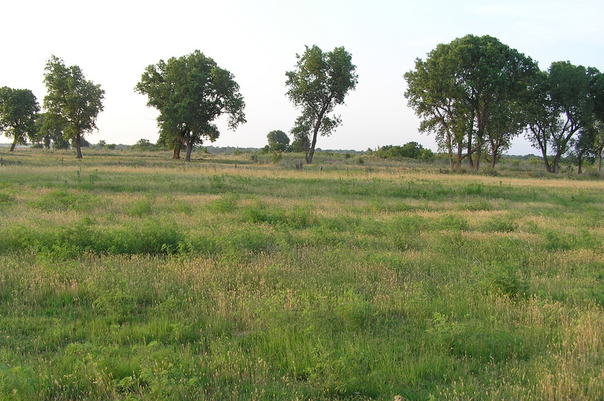 View to the north from the confluence.