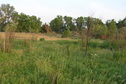 #6: View to the south from the confluence point.