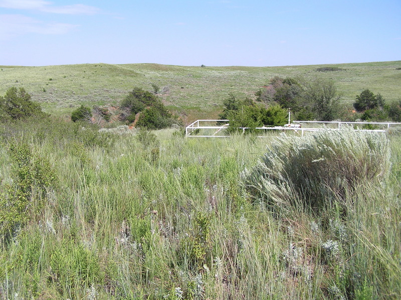 View to the east from the confluence.