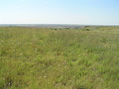 #8: Western horizon from 25 meters southwest of the confluence point.