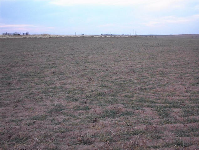 Looking north from the confluence