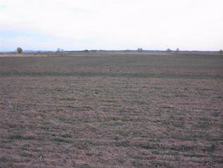 #1: Looking south from the confluence