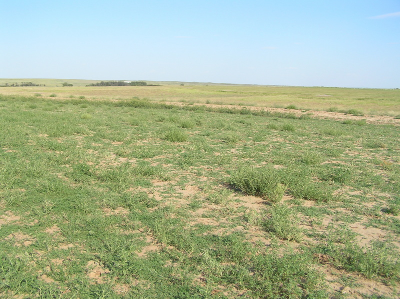 View to the east from the confluence.