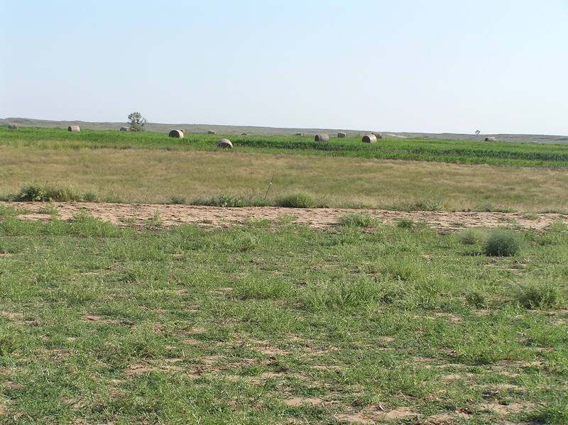 View to the south from the confluence.