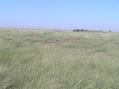 #2: View to the west from the confluence point.