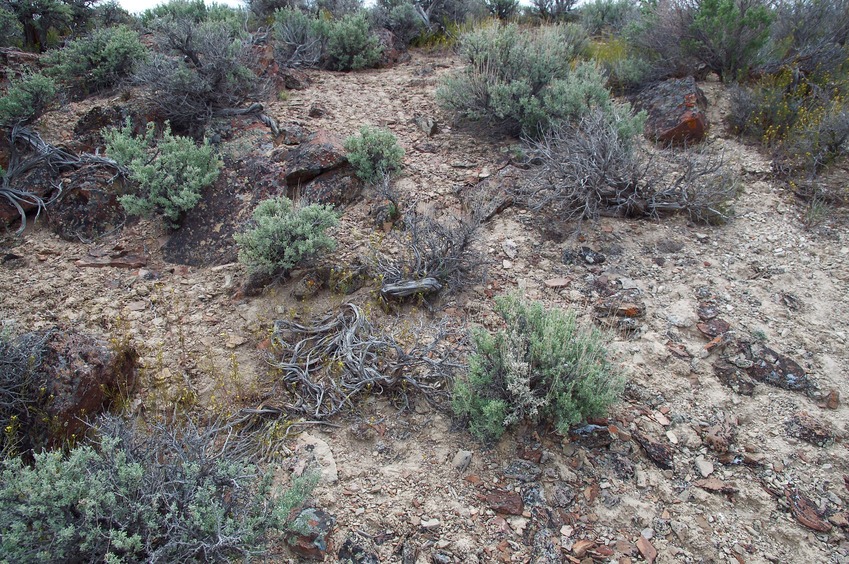 The confluence point lies in rocky, sagebrush-covered terrain, right on the edge of a cliff.