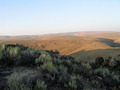 #4: View South