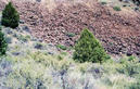 #4: View from the South - Left of Juniper and above shrubs