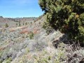 #2: Looking West along the California/Oregon border