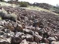 #4: Looking East along the Nevada/Oregon border