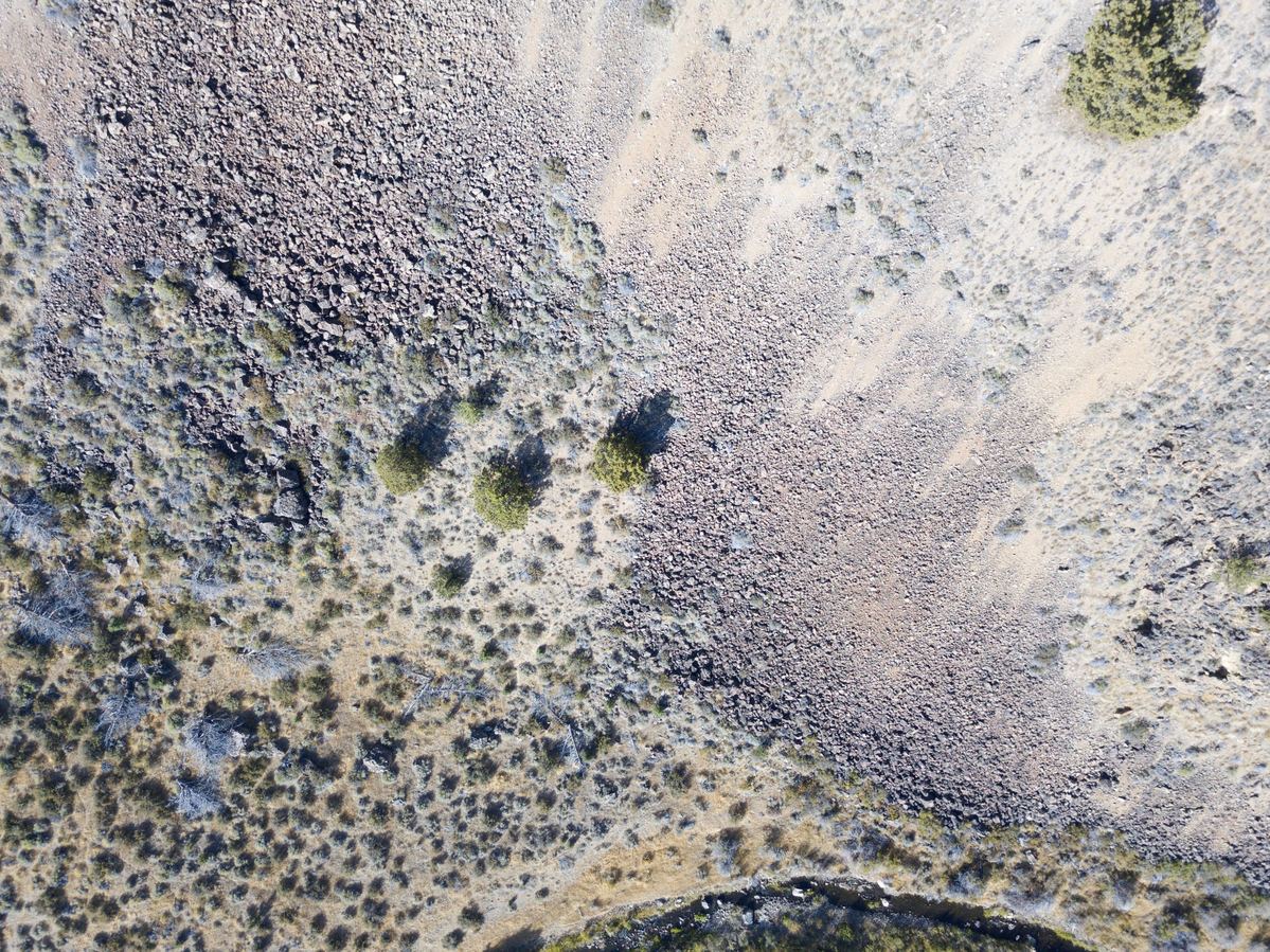 Looking down on the point from 120 m above.  (The point is at the base of the rightmost of the cluster of three trees.)