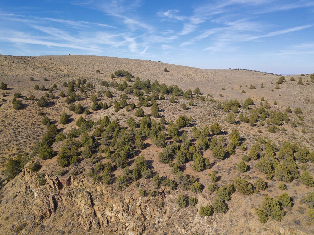 View North from 120 m above the point