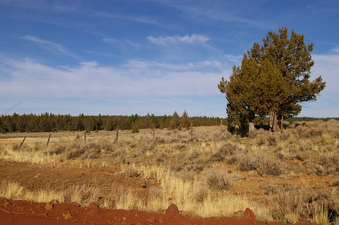 #1: looking from the road towards the confluence