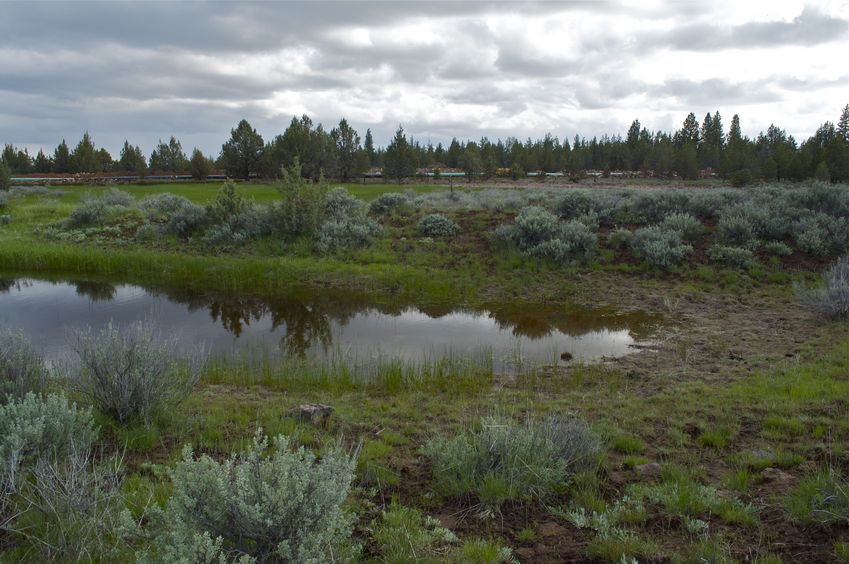 View South (towards the ongoing natural gas pipeline installation, with California beyond)