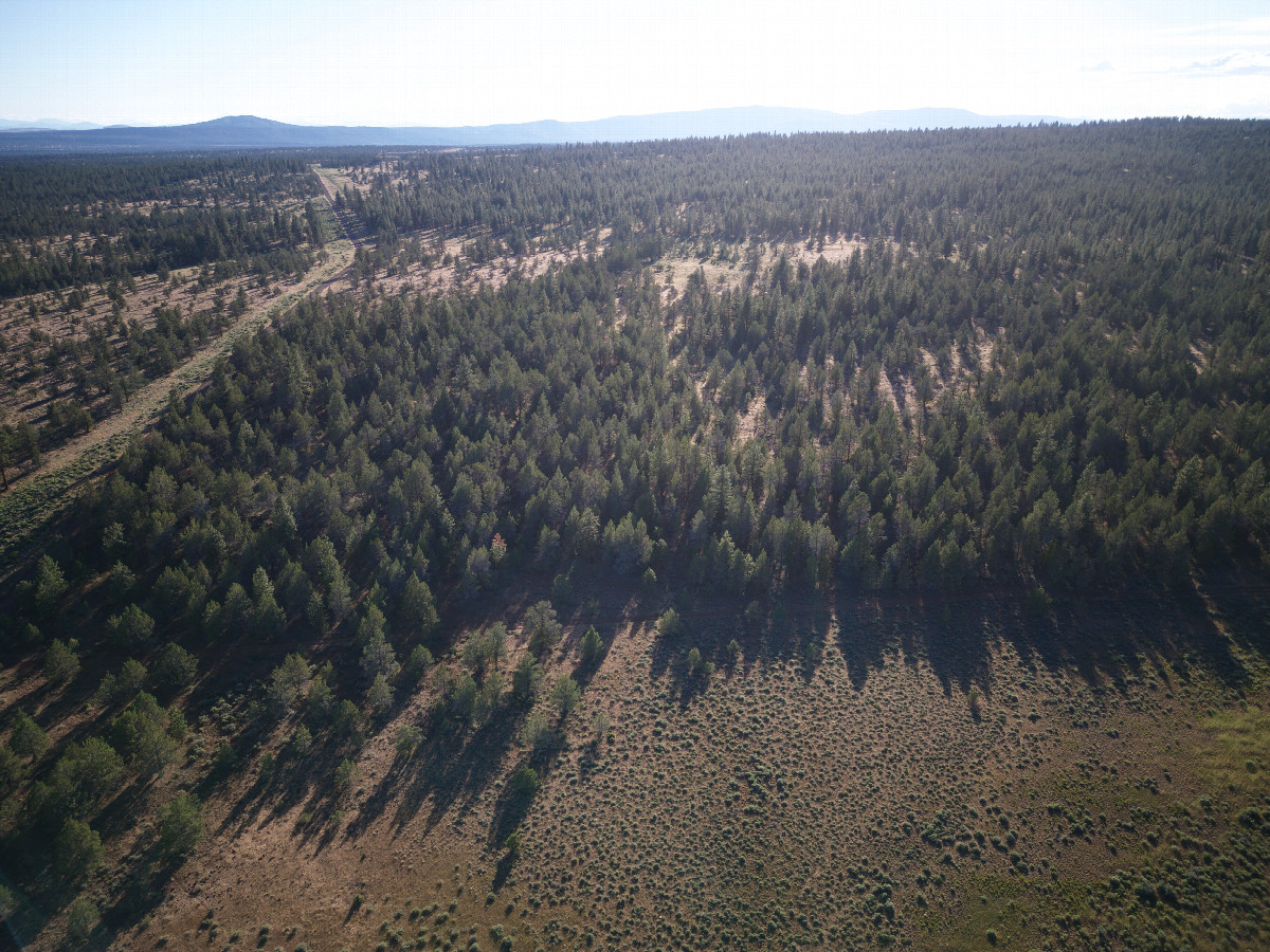 View West, from 120m above the point