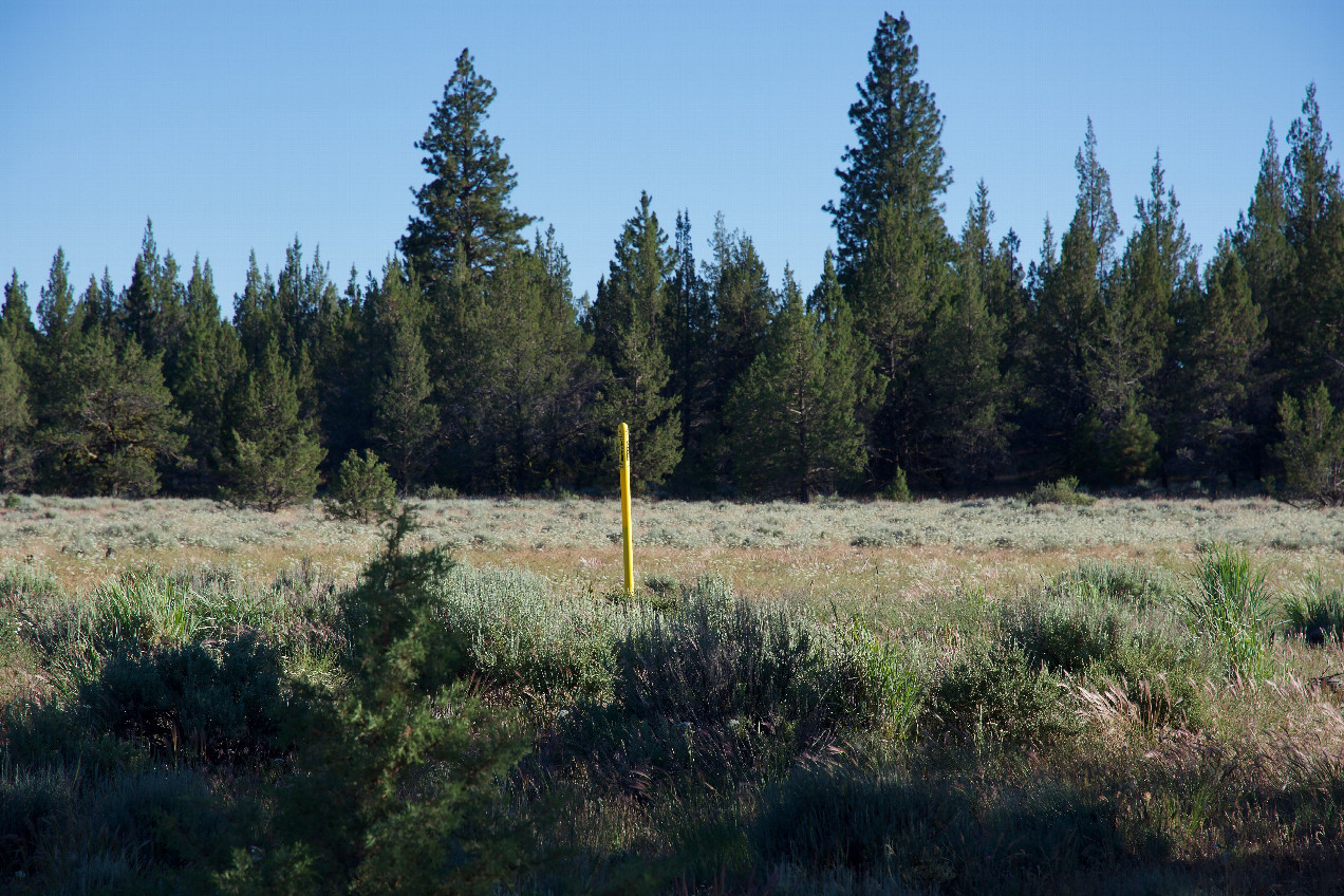 From ground level, the Ruby Pipeline is now marked by a series of yellow warning posts