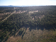 #11: View West, from 120m above the point