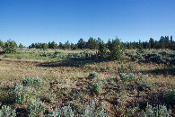 #3: View South