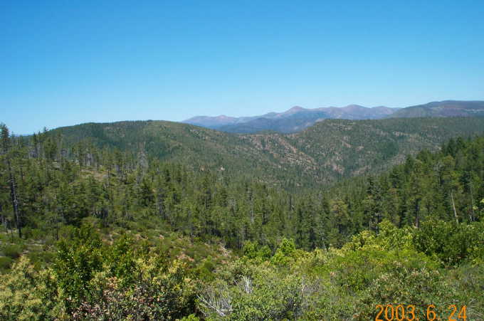 Looking north towards the confluence from the road