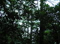 #2: View North