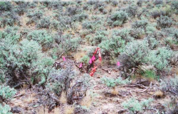 This is where we marked the confluence. I also made a rock cairn here later on.