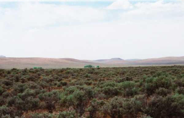 View to the West. The trees are around the Ryegrass res. and ranch house.