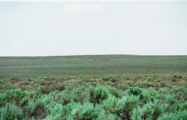 Looking North into sagebrush and beyond.